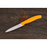 Нож для овощей VICTORINOX 6.7706.L119