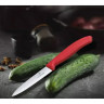 Нож для овощей Victorinox SwissClassic 6.7701, лезвие 10 см