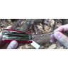 Victorinox Evolution 28 (2.5383.E)
