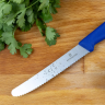 Набор из 6 столовых ножей Victorinox Swiss Classic, синий (6.7832.6)