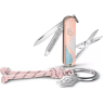 Складной нож VICTORINOX CLASSIC SD PARIS STYLE 0.6223.E221